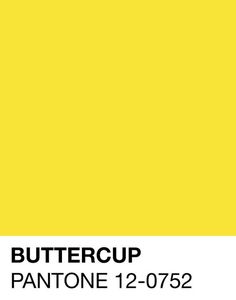 BUTTERCUP - Click Image to Close